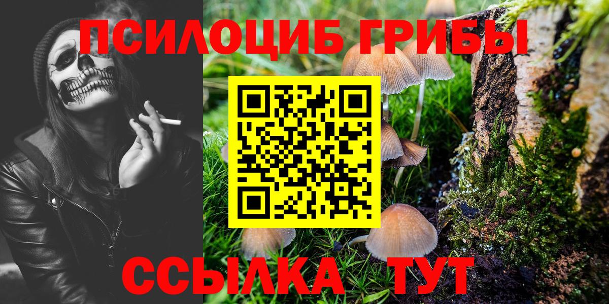 Галлюциногенные грибы Cubensis Балаково