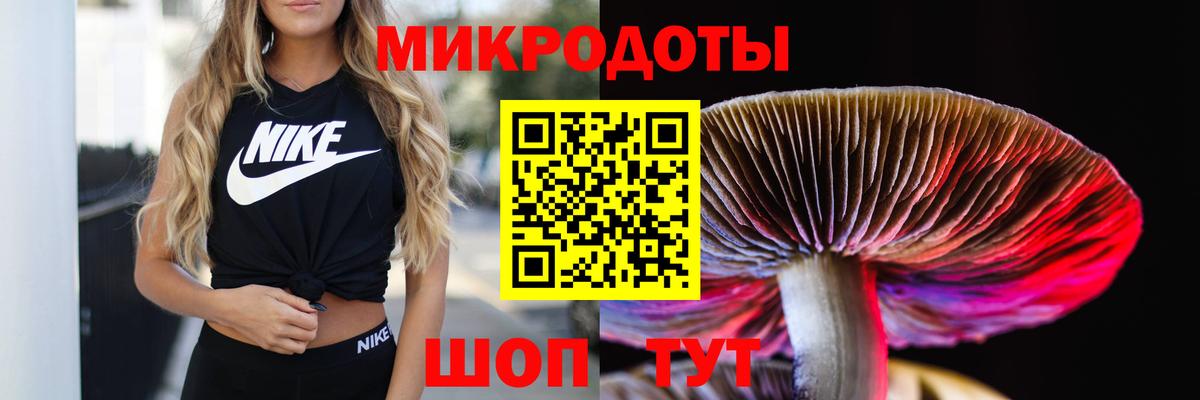 Балаково  Галлюциногенные грибы GOLDEN TEACHER  Вход с VPN 